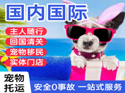 伊尔施航空快运国际宠物托运 【国