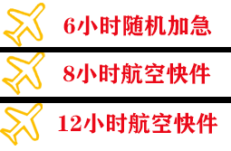 伊尔施航空快运快递公司,专业空运当天件
